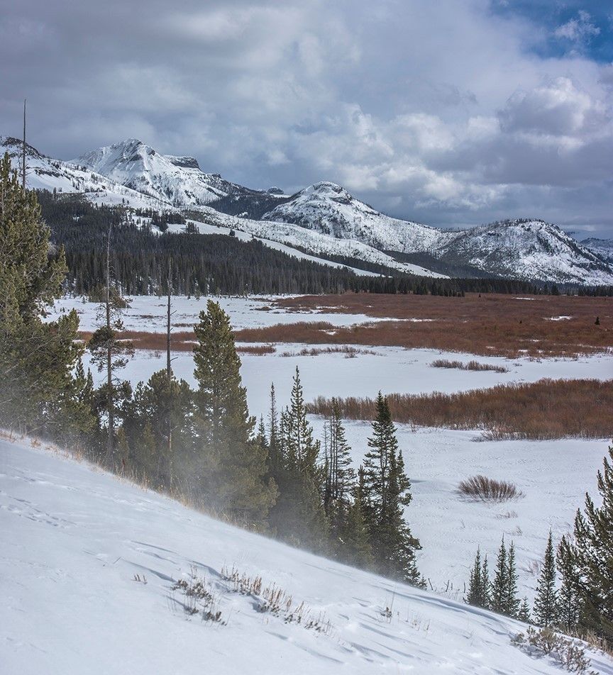 Colter Peak